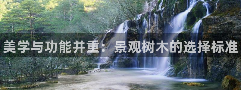 天顺娱乐湍78778卧:美学与功能并重:景观树木的选择标准