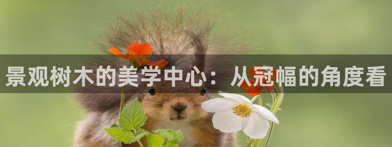 天顺娱乐丈70648:景观树木的美学中心:从冠幅的角度看